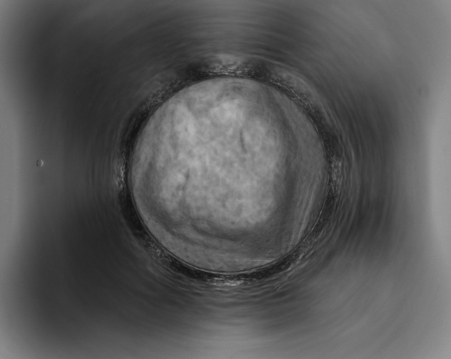 X0000094900602200712271454