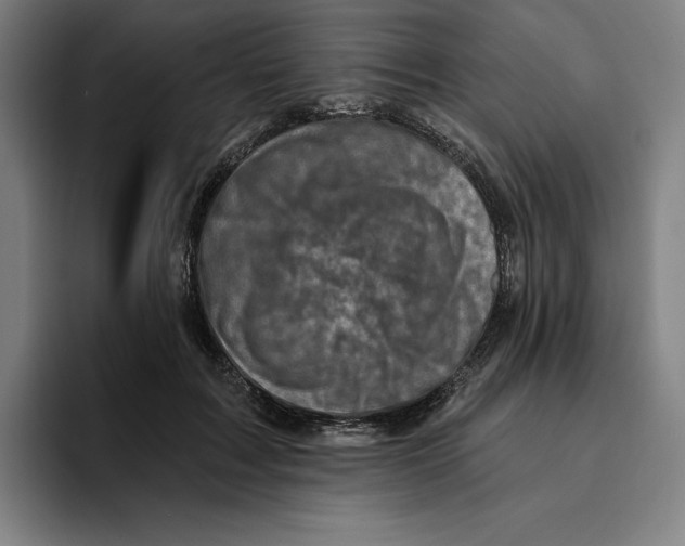 X0000094900603200712271454