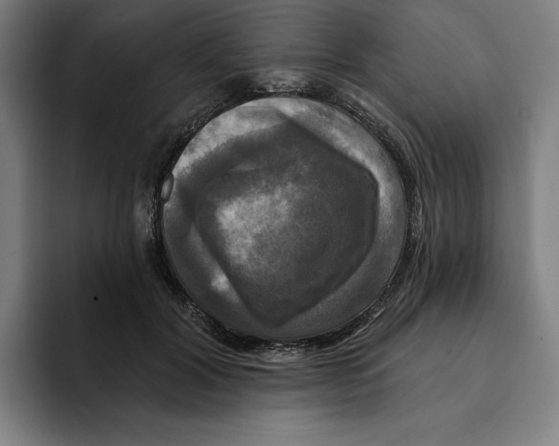 X0000094900604200712271454