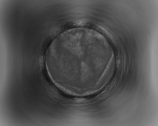 X0000094900605200712271454