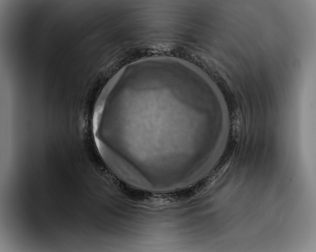 X0000094900608200712271454