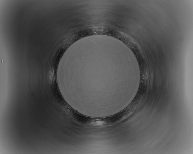 X0000094900610200712271454
