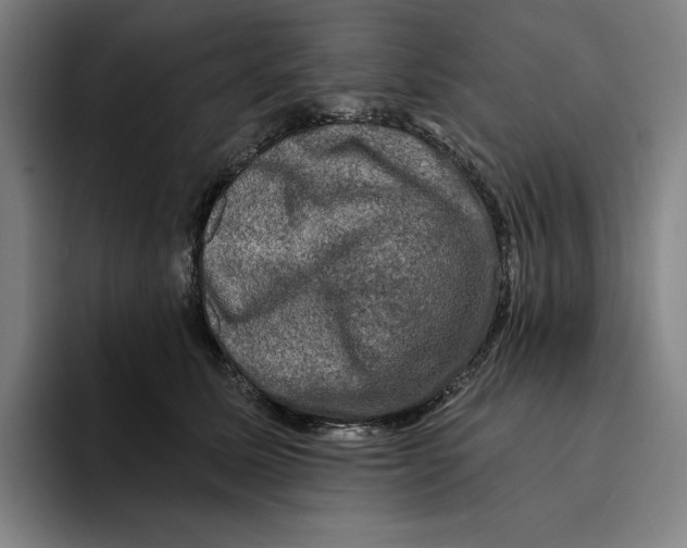 X0000094900611200712271454
