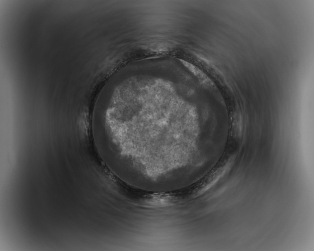 X0000094900612200712271454