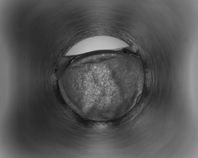 X0000094900613200712271454