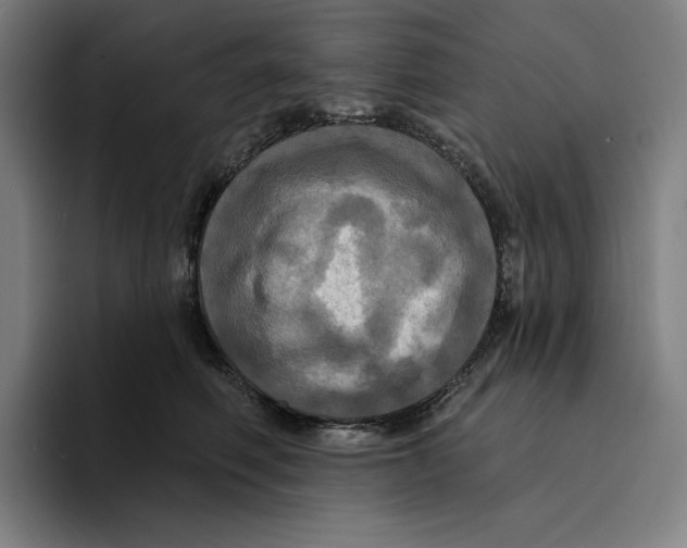 X0000094900614200712271454