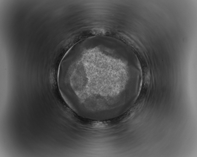 X0000094900616200712271453