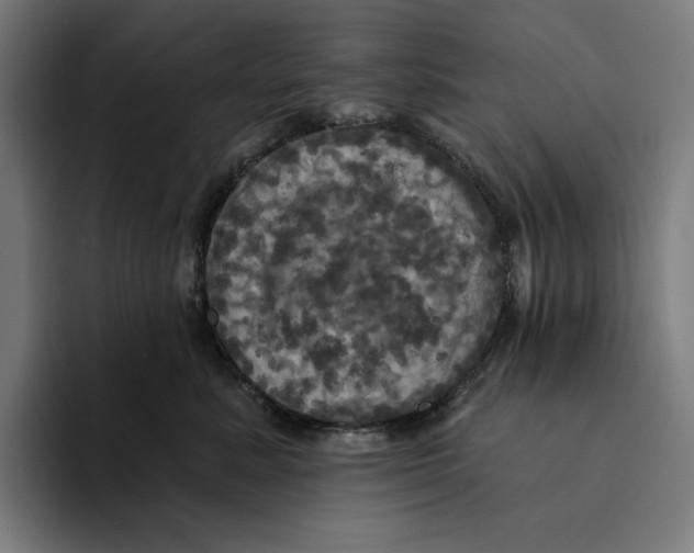 X0000094900619200712271453