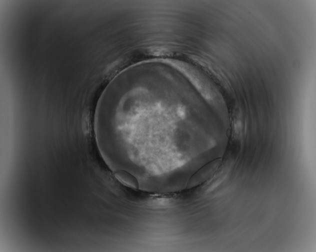 X0000094900620200712271453