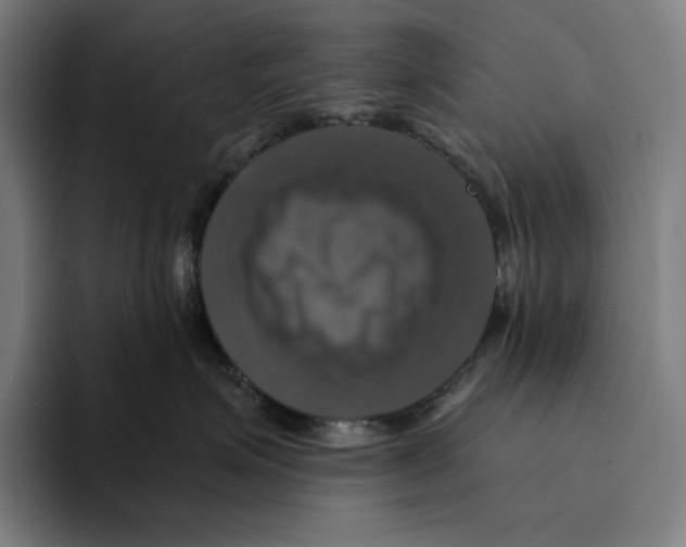 X0000094900623200712271453