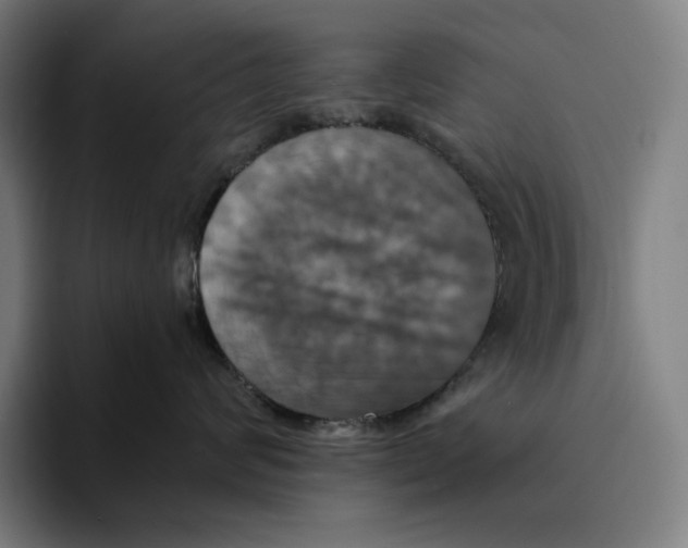 X0000094900624200712271453