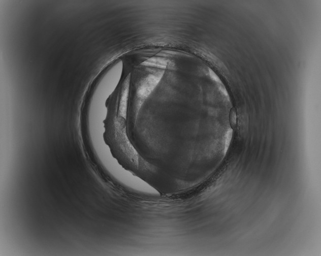 X0000094900626200712271453