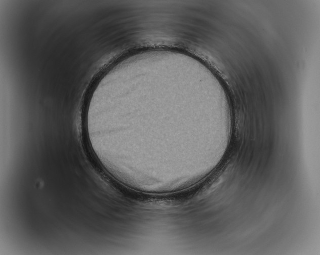 X0000094900629200712271453