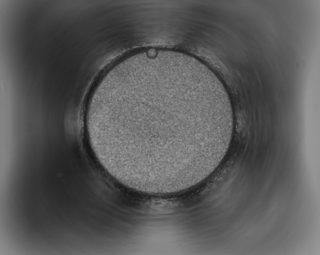 X0000094900632200712271453