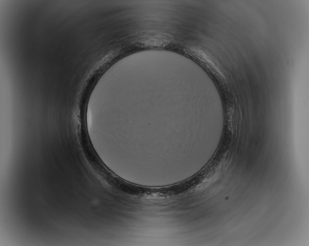 X0000094900634200712271453