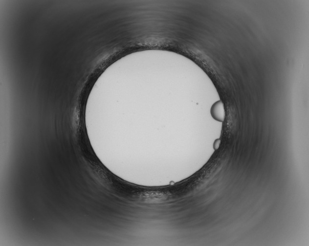 X0000094900636200712271453