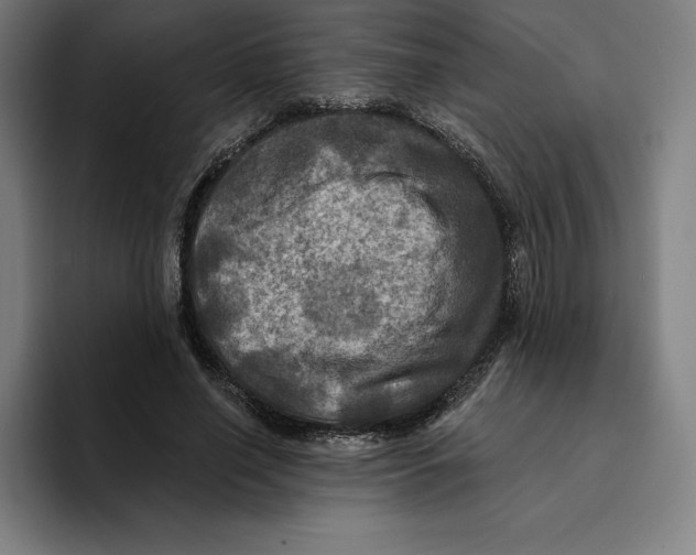 X0000094900638200712271453