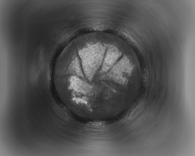 X0000094900639200712271453