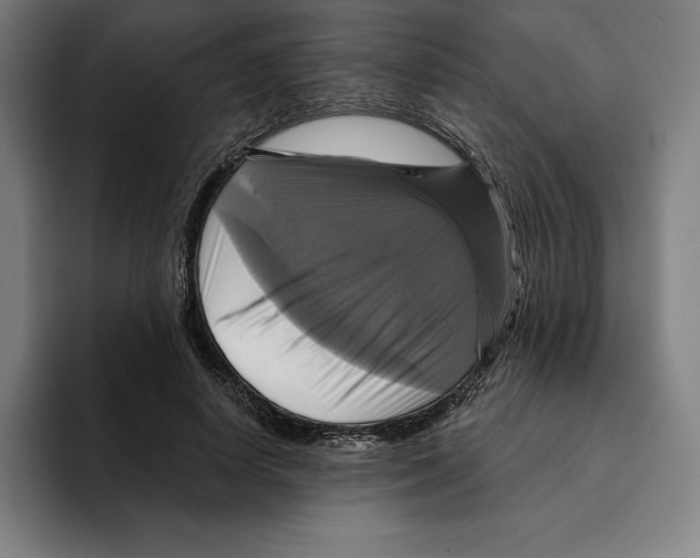 X0000094900642200712271453