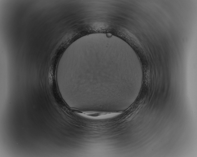 X0000094900644200712271453