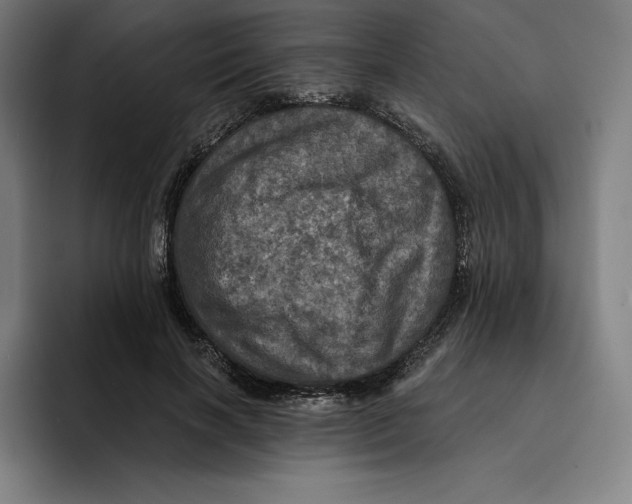 X0000094900646200712271453