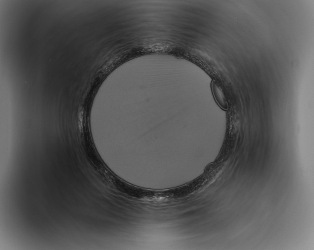 X0000094900647200712271453