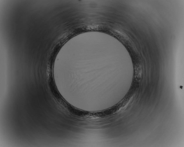 X0000094900648200712271453