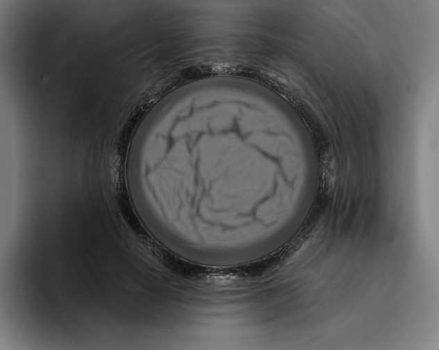 X0000094900650200712271453