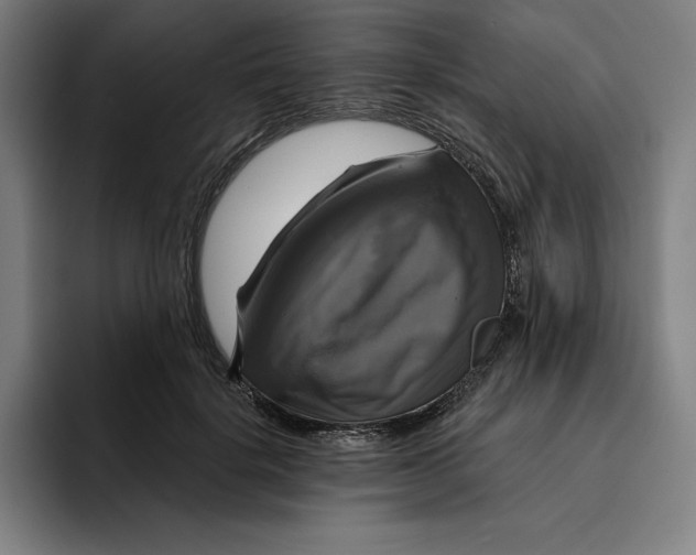 X0000094900652200712271453