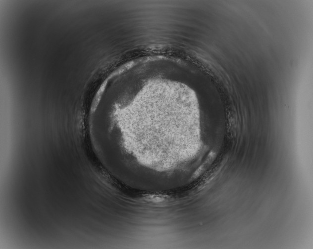 X0000094900654200712271453