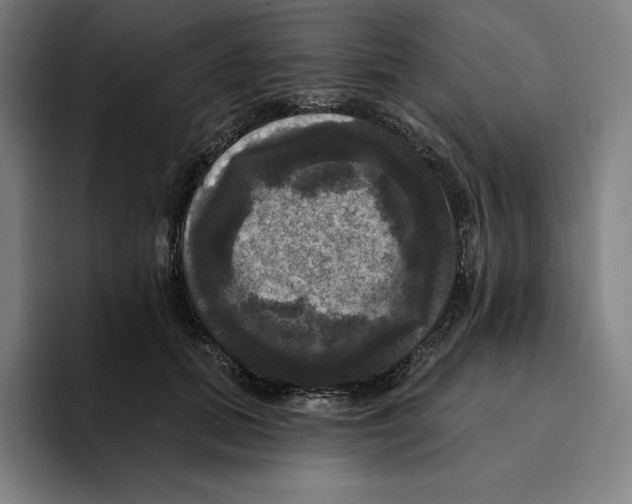 X0000094900655200712271453