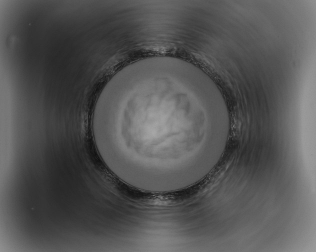 X0000094900656200712271453