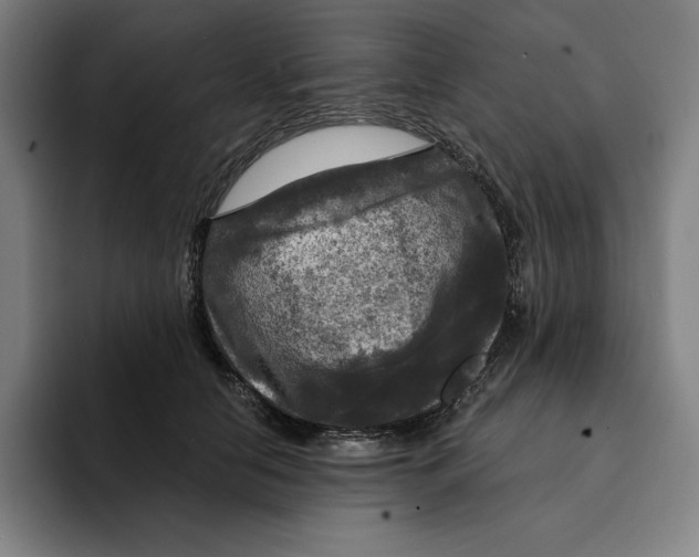 X0000094900658200712271453