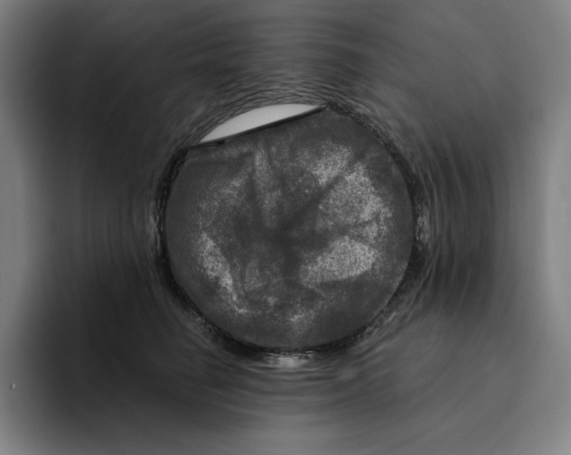 X0000094900662200712271453
