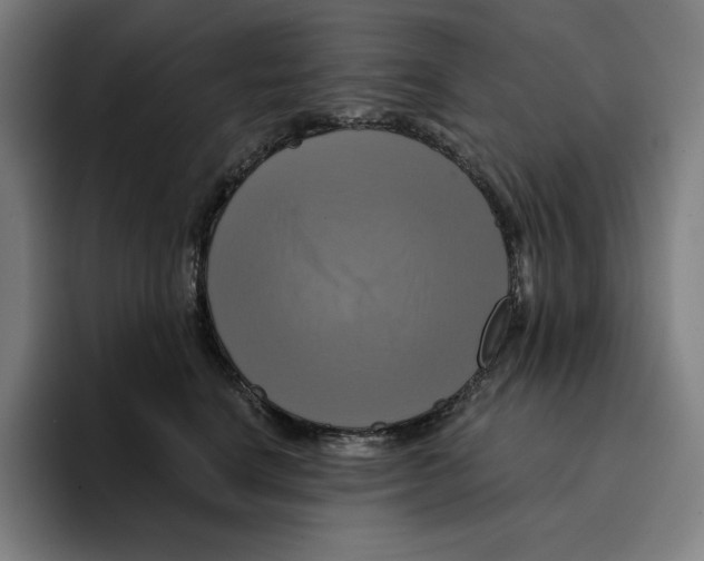 X0000094900664200712271453