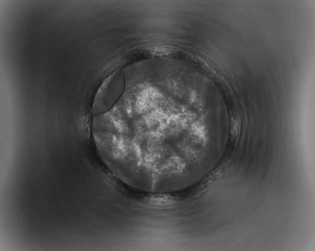 X0000094900666200712271453