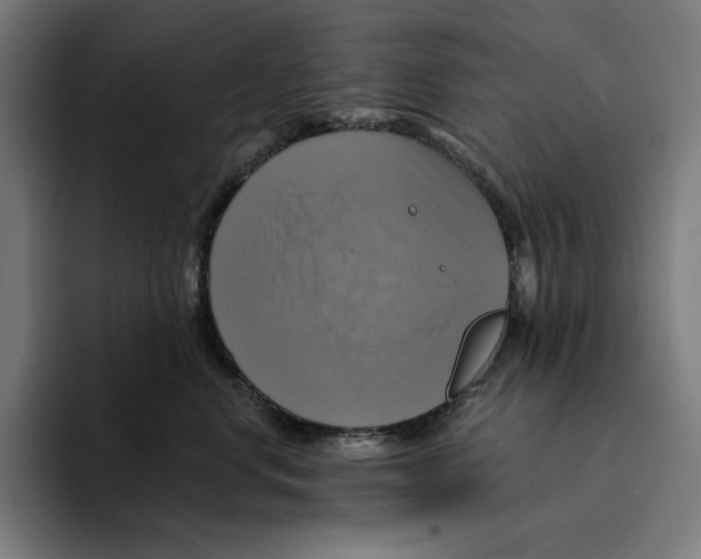 X0000094900668200712271453