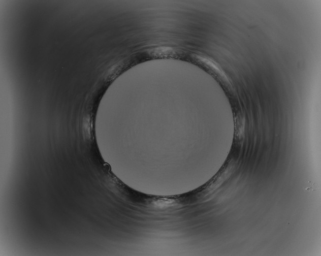 X0000094900669200712271453