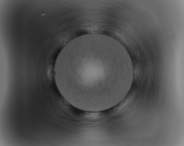 X0000094900671200712271453
