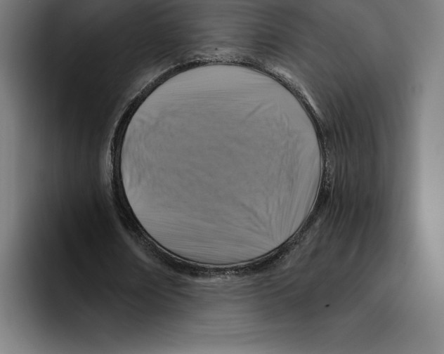 X0000094900674200712271453