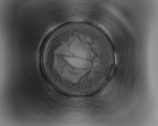 X0000094900675200712271453