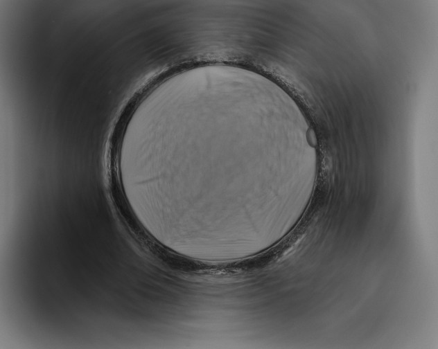 X0000094900678200712271453