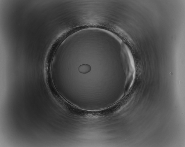 X0000094900680200712271453