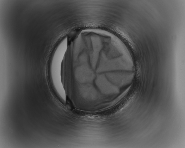 X0000094900681200712271453