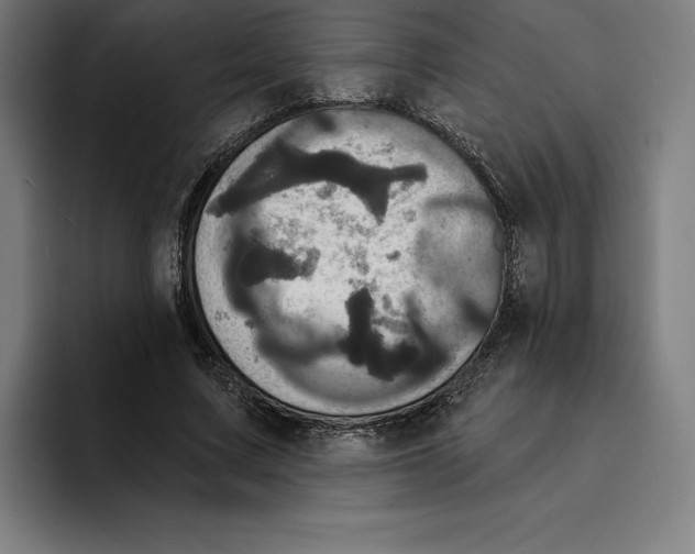 X0000094900683200712271453