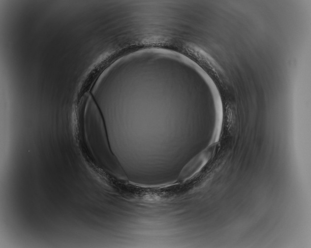 X0000094900684200712271453
