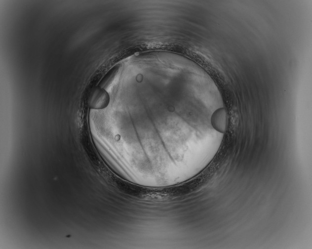X0000094900691200712271453