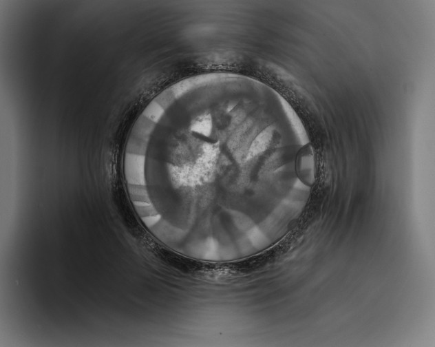 X0000094900695200712271452