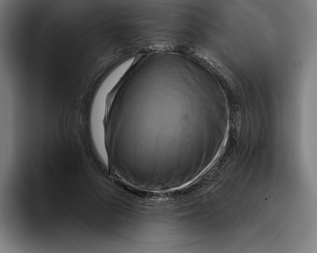 X0000094900696200712271452