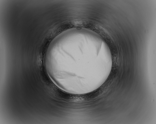 X0000094900702200712271452